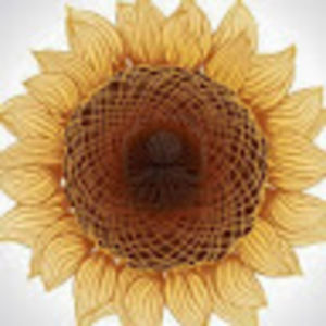 Meet your Posher, Adrienne